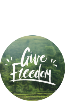 give-freedom-ornament