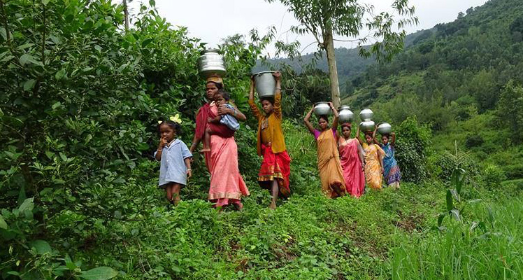 Indian villagers carrying water through jungle